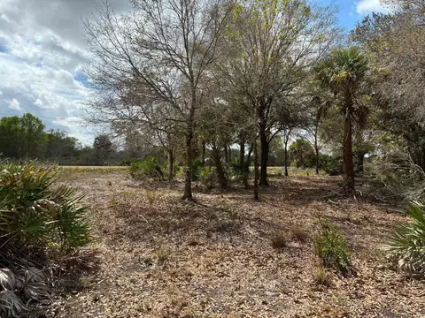 19731 NW 266th St, Okeechobee, FL 34972 photo 5