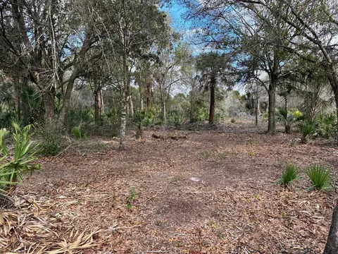 19731 NW 266th St, Okeechobee, FL 34972 photo 8