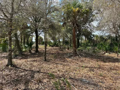 19731 NW 266th St, Okeechobee, FL 34972 photo 4
