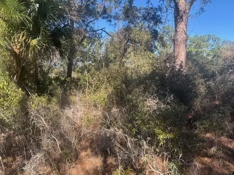 221 Rainbow Dr, Lake Placid, FL 33852