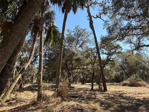 tbd SE 40th Ave, Okeechobee, FL 34974 photo 2