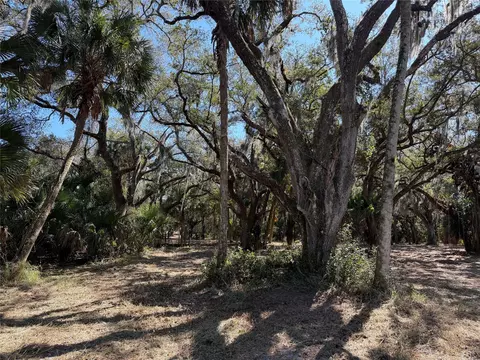 tbd SE 40th Ave, Okeechobee, FL 34974 photo 6