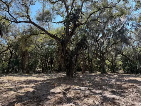 tbd SE 40th Ave, Okeechobee, FL 34974 photo 3