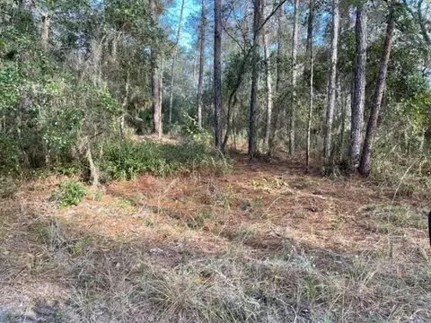 417 Incline, Satsuma, FL 32189