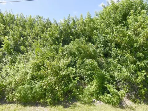 4273 SW Rosser Blvd, Port St Lucie, FL 34953