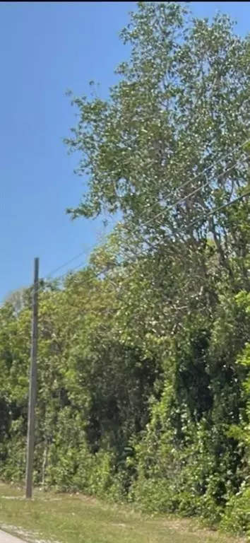 Card Ound Road, Homestead, FL 33035