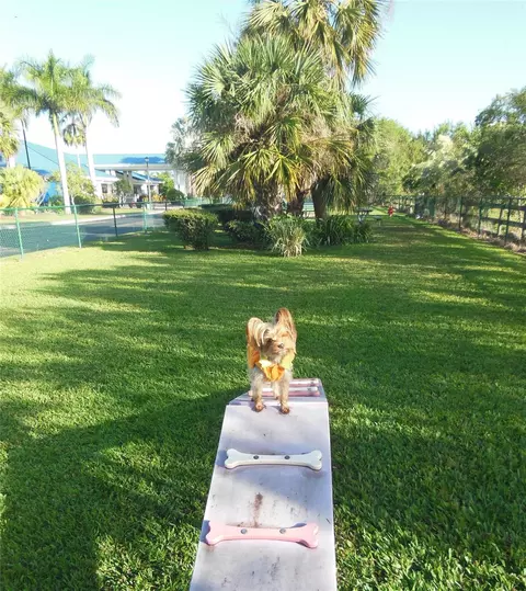 lot209 SW 3720 Sw 7th Mnr, Okeechobee, FL 34974 photo 39