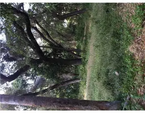 Undisclosed, Lorida, FL 33857 photo 5