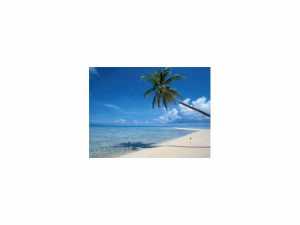6173 SW 1st St, Pompano Beach, FL 33068 photo 1