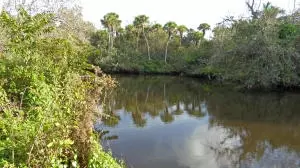 7941 SE Paradise Dr, Stuart, FL 34997 photo 1