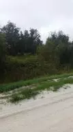 17428 NW 272nd St, Okeechobee, FL 34972 photo 1