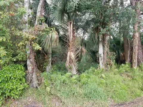 6875 NE 4th, Okeechobee, FL 34974 photo 1