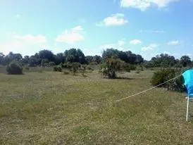 16736 NW 308th St, Okeechobee, FL 34972 photo 1