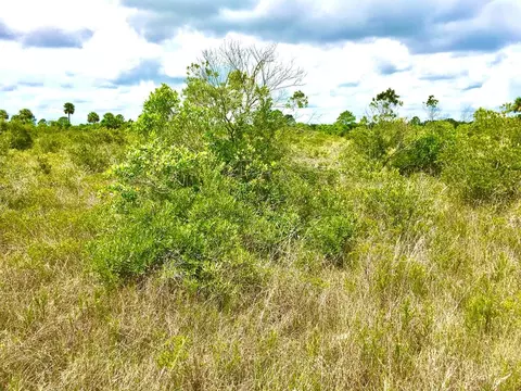 17818 NW 310th St, Okeechobee, FL 34972 photo 1