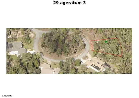 29 Ageratum Ct, Homosassa, FL 34446
