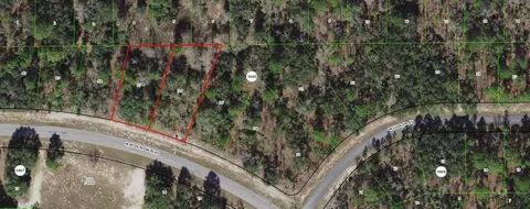 6585 N Bedstrow Blvd, Citrus Springs, FL 34434