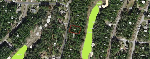 9911 N Langdon Rd, Citrus Springs, FL 34434