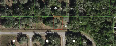 7973 N Addison Rd, Citrus Springs, FL 34434