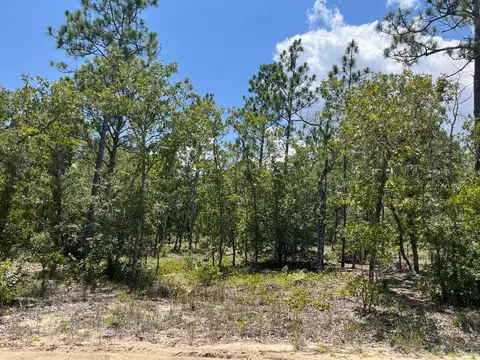 7259 Davidson, Keystone Heights, FL 32656