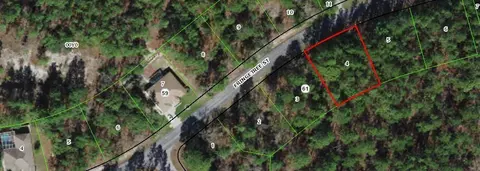 35 Fringetree St, Homosassa, FL 34446
