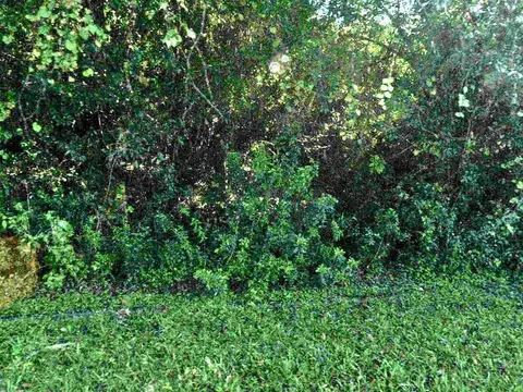 1702 SEbb Ct, Port St Lucie, FL 34952