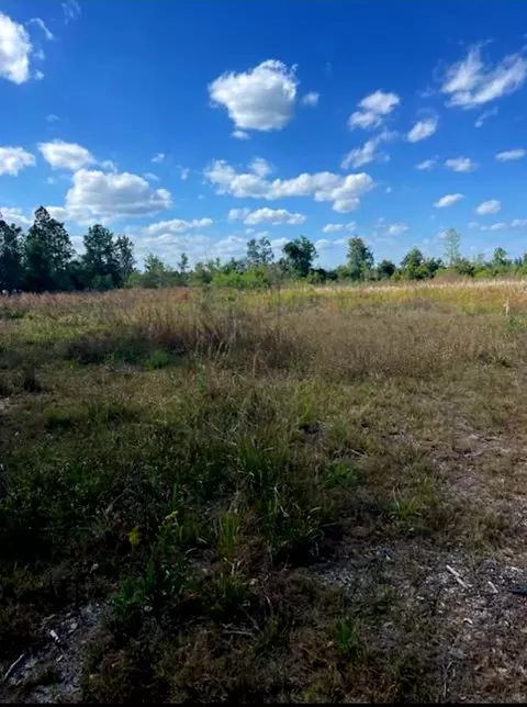 1108306 Oil Well Rd, Clermont, FL 34714