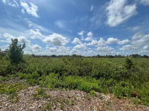 16118 NW 298th, Okeechobee, FL 34972