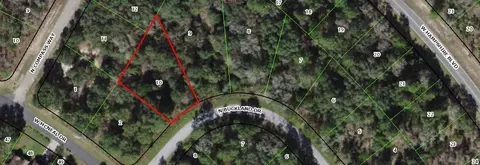 6195 N Buckland Dr, Citrus Springs, FL 34434