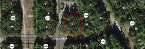 1443 W Partridge St, Citrus Springs, FL 34434