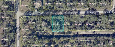 1214 Raphia St E, Lehigh Acres, FL 33974