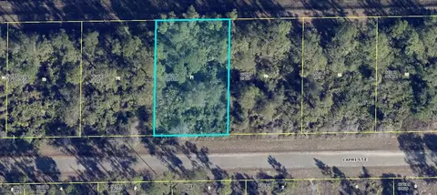 1113 Capri St E, Lehigh Acres, FL 33974
