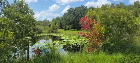 15790 NW 300th, Okeechobee, FL 34972
