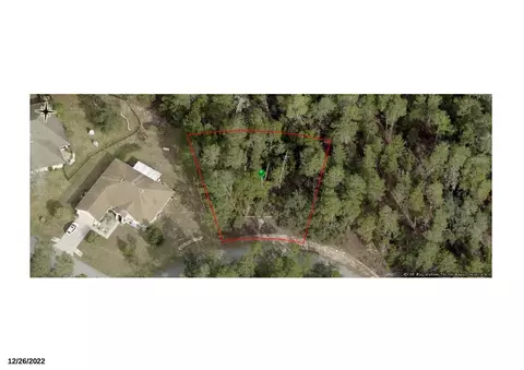 6 Scabiosa Ct, Homosassa, FL 34446