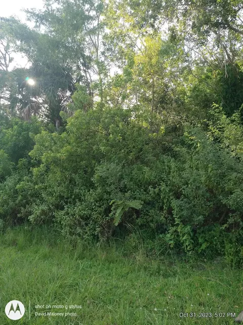 1982 SW Guernsey St SW, Port St Lucie, FL 34953