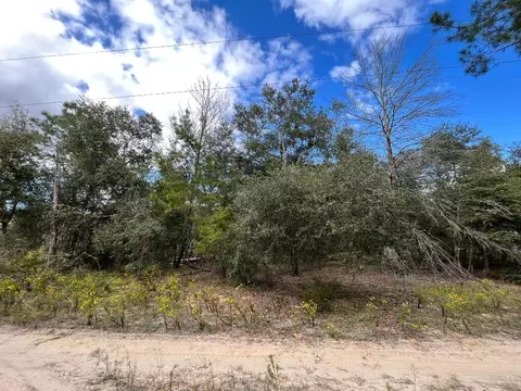 102 Morning Glory, Interlachen, FL 32148