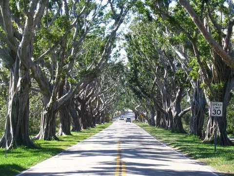 7411 SE Jamestown Ter, Hobe Sound, FL 33455