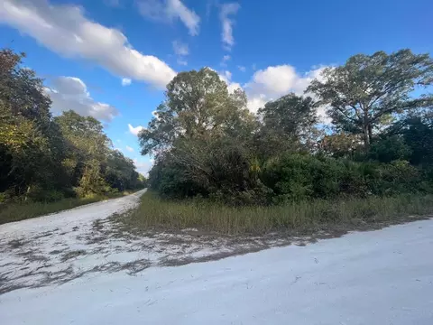 tbd NE 461st, Old Town, FL 32680