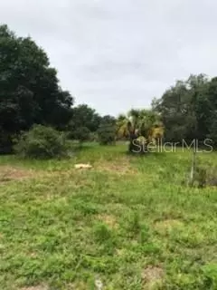 19480 NW 304th, Okeechobee, FL 34972