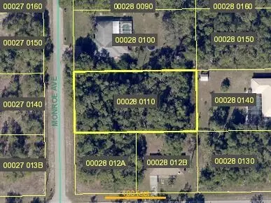 202 Monroe Ave, Lehigh Acres, FL 33936