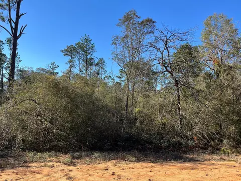 tbd Apalachicola Ave, Alford, FL 32420