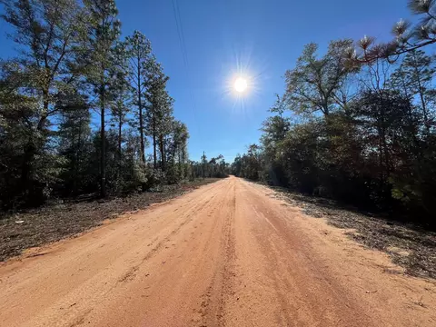 tbd Bienville Ct, Alford, FL 32420