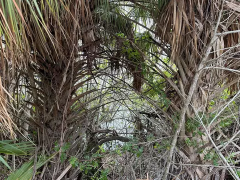 2591 SE Appleby St, Port St Lucie, FL 34984