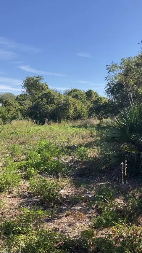 1503 Chatsworth St, Lake Placid, FL 33852