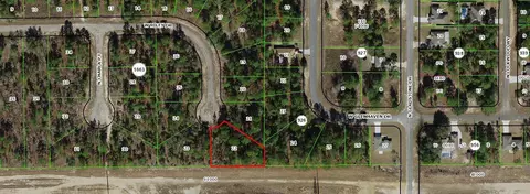 1005 W Riley Dr, Citrus Springs, FL 34434
