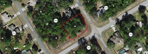 8038 N Pitcairn Way, Citrus Springs, FL 34434