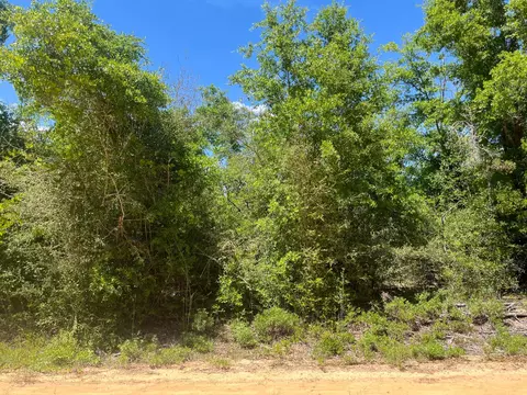 0 Hocking St, Alford, FL 32420