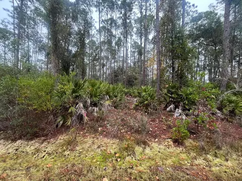 222 Marie Ave, Georgetown, FL 32139