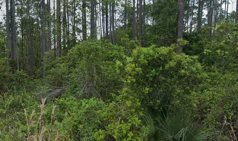 00 Glenside St, Georgetown, FL 32139