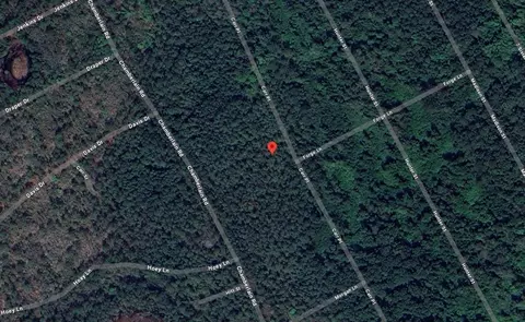 125 Carr, Satsuma, FL 32189