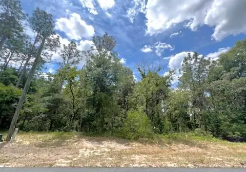 tbd SW 134 St, Ocala, FL 34473